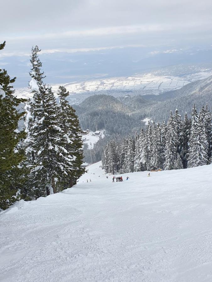 Spacious And Cosy Apartment In Bansko Royal Towers Complex エクステリア 写真